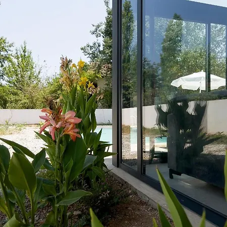 Koy Villa *
